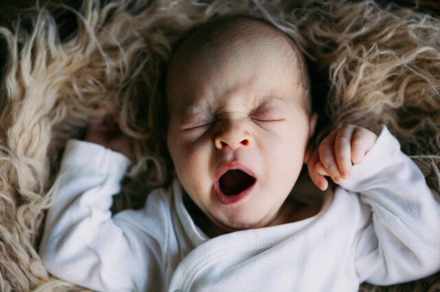 Ganz schön kuschelig hatte der kleine Mann es in meinem Körbchen mit Fell, dass ich zum Shooting mitgenommen habe. ​🥰​😴​…